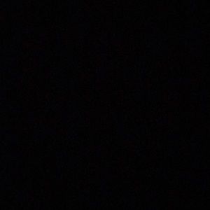 Meet your Posher, Angelo